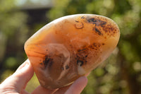 Polished Banded Dendritic Agate Standing Free Forms  x 3 From Moralambo, Madagascar - TopRock