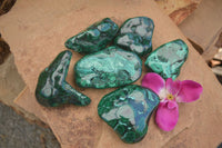 Polished Malachite Free Forms With Stunning Flower & Banding Patterns x 6 From Congo - TopRock