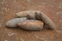 Natural Fossil Rostrums / Belenites Specimens  - Sold per 350 g - From Maintirano, Madagascar - TopRock