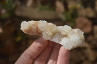 Natural Mixed Spirit Quartz Specimens x 24 From Boekenhouthoek, South Africa