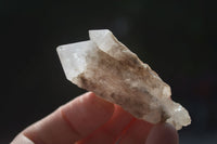 Natural Single Pineapple Quartz Crystals  x 35 From Antsirabe, Madagascar - Toprock Gemstones and Minerals 