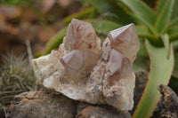 Natural Red Hematoid Quartz Specimens x 3 From Karoi, Zimbabwe - TopRock