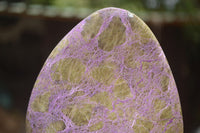 Polished Purple Stichtite & Serpentine Standing Free Forms  x 2 From Southern Africa - TopRock