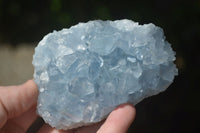 Natural Blue Celestite Crystal Specimens  x 3 From Sakoany, Madagascar - Toprock Gemstones and Minerals 