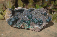 Natural Rare Ball Malachite On Drusy Quartz & Dolomite Matrix Specimens x 2 From Kambove, Congo