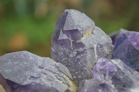 Natural Dark Purple Amethyst Clusters  x 3 From Mapatizya, Zambia - TopRock