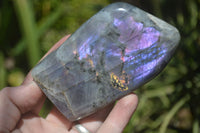 Polished Rare Purple Sunset Labradorite Standing Free Forms  x 6 From Sakoany, Madagascar - TopRock