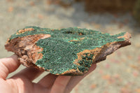 Natural Micro Botryoidal Malachite on Matrix Specimens  x 2 From Tenke Fungurume, Congo - TopRock