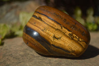 Polished Golden Tigers Eye Free Forms x 3 From Prieska, Northern Cape