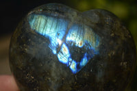 Polished  Puffy Labradorite Gemstone Hearts  x 2 From Tulear, Madagascar