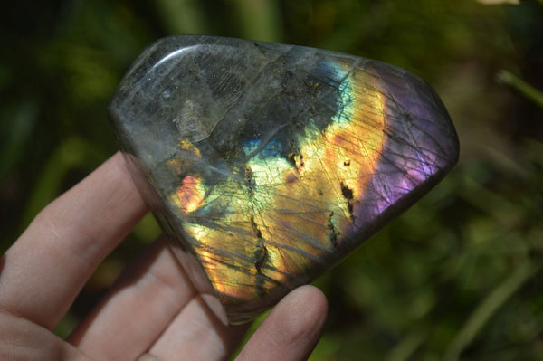 Polished Rare Purple Sunset Labradorite Standing Free Forms  x 6 From Sakoany, Madagascar - TopRock