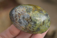 Polished Green Opal Free Forms  x 14 From Madagascar