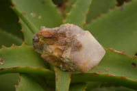 Natural Cascading Pineapple Quartz Crystals  x 24 From Madagascar - TopRock