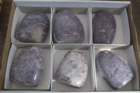 Polished Purple Lepidolite Standing Free Forms  x 6 From Madagascar