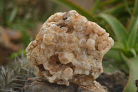 Natural Golden Hematoid Quartz Clusters  x 6 From Zambia - TopRock