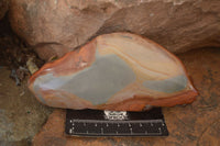 Polished  One Side Polished Polychrome Jasper Nodules  x 3 From Madagascar