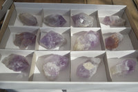 Natural Jacaranda Amethyst Crystals x 12 From Mumbwa, Zambia