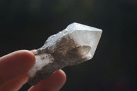 Natural Single Pineapple Quartz Crystals  x 35 From Antsirabe, Madagascar - Toprock Gemstones and Minerals 