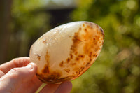 Polished Banded Dendritic Agate Standing Free Forms  x 3 From Moralambo, Madagascar - TopRock