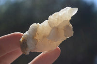 Natural Drusy Quartz Coated Calcite Crystals  x 12 From Alberts Mountain, Lesotho - Toprock Gemstones and Minerals 