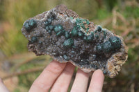 Natural Rare Ball Malachite On Drusy Quartz & Dolomite Matrix Specimens x 2 From Kambove, Congo