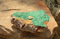 Natural Micro Botryoidal Malachite on Matrix Specimens  x 2 From Tenke Fungurume, Congo - TopRock