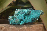 Natural Blue Silica Chrysocolla Specimens x 3 From Congo