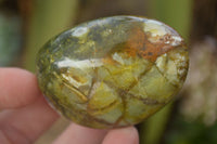 Polished Green Opal Free Forms  x 14 From Madagascar