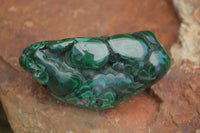 Polished Malachite Free Forms With Stunning Flower & Banding Patterns x 6 From Congo - TopRock