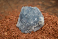 Natural Blue Celestite Crystal Specimens  x 3 From Sakoany, Madagascar - Toprock Gemstones and Minerals 