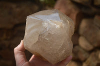 Polished Large Quartz Crystal Point x 1 From Angola