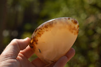 Polished Banded Dendritic Agate Standing Free Forms  x 3 From Moralambo, Madagascar - TopRock