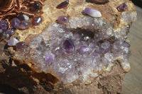 Polished Amethyst & Copper Gemstone Tree On Amethyst Basalt Specimen  x 1 From Zululand, South Africa - TopRock