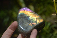 Polished Rare Purple Sunset Labradorite Standing Free Forms  x 6 From Sakoany, Madagascar - TopRock