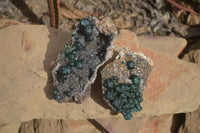 Natural Rare Ball Malachite On Drusy Quartz & Dolomite Matrix Specimens x 2 From Kambove, Congo