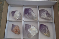 Natural Single Jacaranda Amethyst Crystals  x 6 From Mumbwa, Zambia - Toprock Gemstones and Minerals 