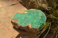 Natural Micro Botryoidal Malachite on Matrix Specimens  x 2 From Tenke Fungurume, Congo - TopRock