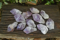 Natural Jacaranda Amethyst Crystals x 12 From Mumbwa, Zambia