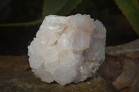 Natural Large White Cactus Flower Spirit Quartz Clusters  x 3 From Boekenhouthoek, South Africa - Toprock Gemstones and Minerals 