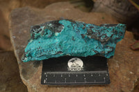 Natural Blue Silica Chrysocolla Specimens x 3 From Congo