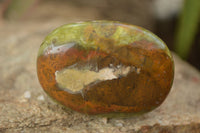 Polished Green Opal Free Forms  x 14 From Madagascar