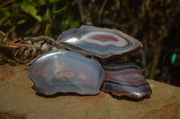 Polished River Agate Nodules  x 6 From Sashe River, Zimbabwe