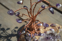 Polished Amethyst & Copper Gemstone Tree On Amethyst Basalt Specimen  x 1 From Zululand, South Africa - TopRock