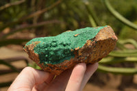 Natural Micro Botryoidal Malachite on Matrix Specimens  x 2 From Tenke Fungurume, Congo - TopRock