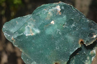 Natural Emerald Mtorolite Plates x 6 From Mutorashanga, Zimbabwe