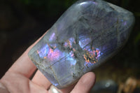 Polished Rare Purple Sunset Labradorite Standing Free Forms  x 6 From Sakoany, Madagascar - TopRock