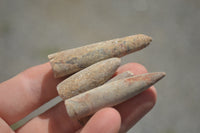 Natural Fossil Rostrums / Belenites Specimens  - Sold per 350 g - From Maintirano, Madagascar - TopRock