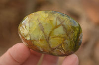 Polished Green Opal Free Forms  x 14 From Madagascar