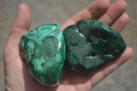 Polished Malachite Free Forms With Stunning Flower & Banding Patterns x 6 From Congo - TopRock