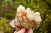 Natural Medium Sized Mixed Spirit Quartz Clusters  x 4 From Boekenhouthoek, South Africa - TopRock